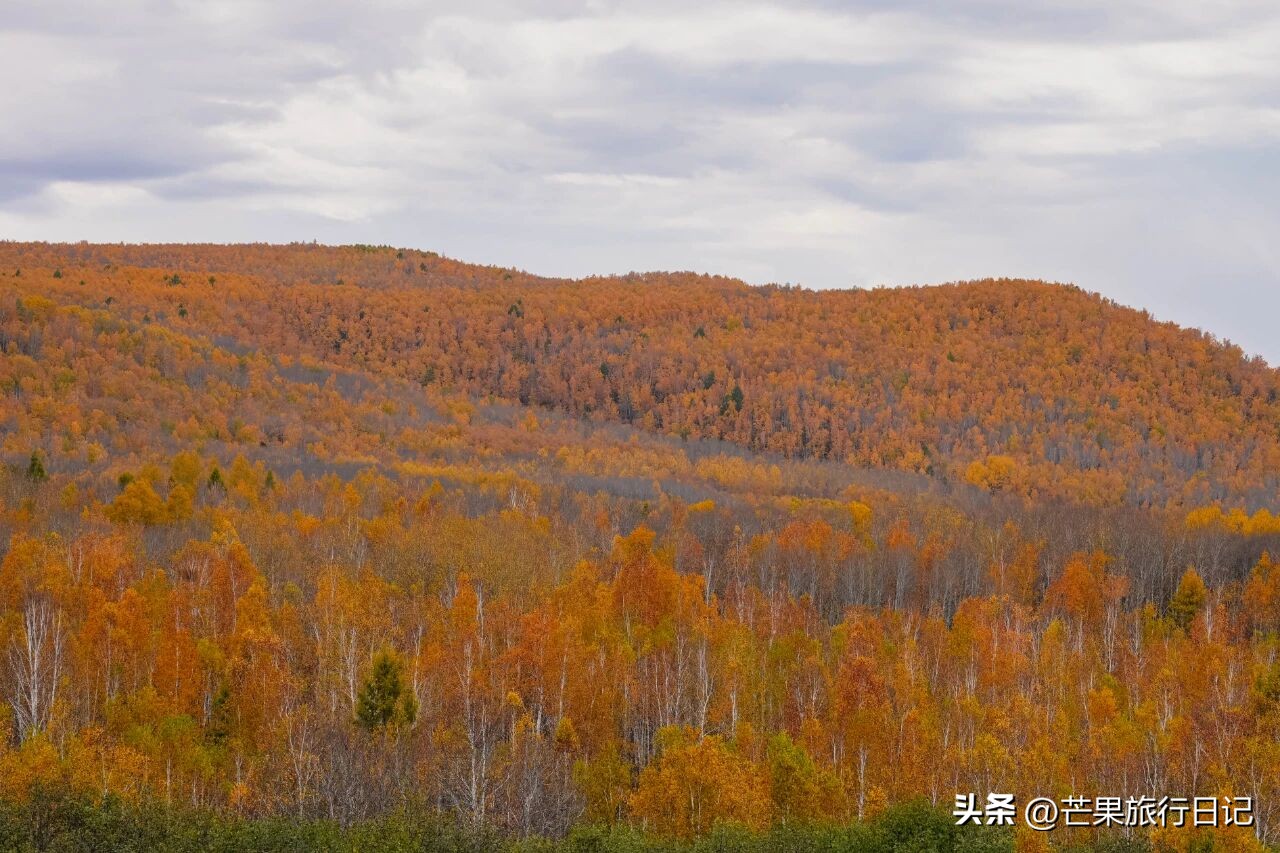 _俄罗斯内蒙古交界线_内蒙古和俄罗斯交界的草原