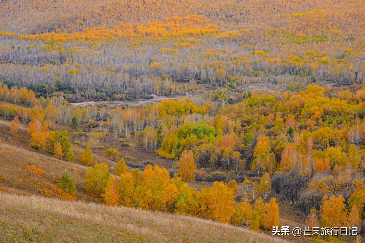 俄罗斯内蒙古交界线_内蒙古和俄罗斯交界的草原_