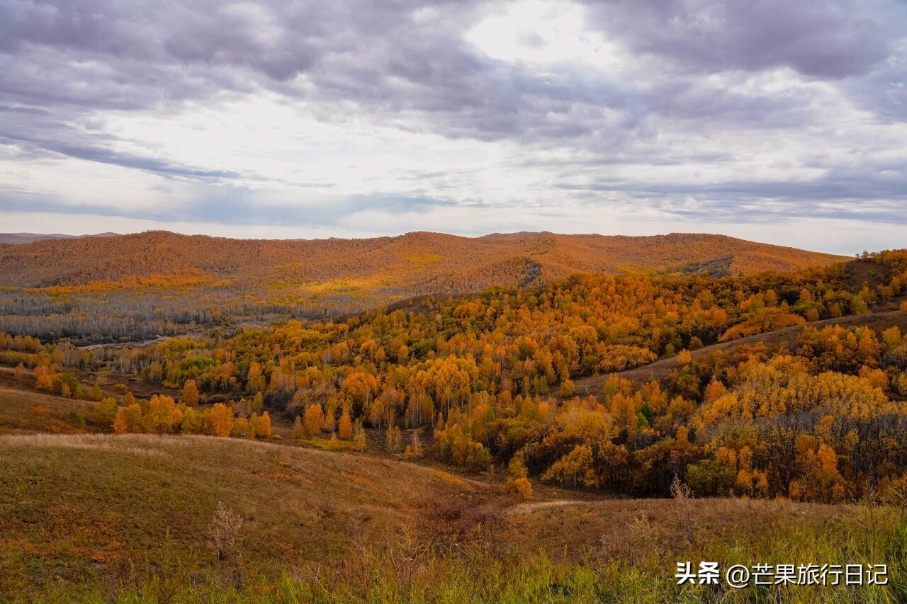 俄罗斯内蒙古交界线__内蒙古和俄罗斯交界的草原