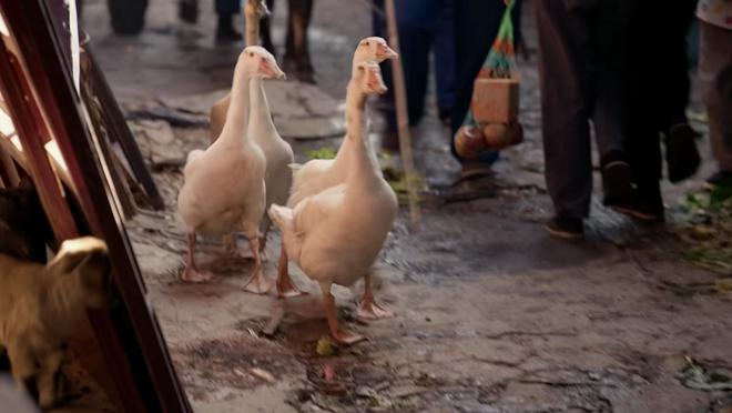 今天晚上开播__今晚开播哪些电视剧