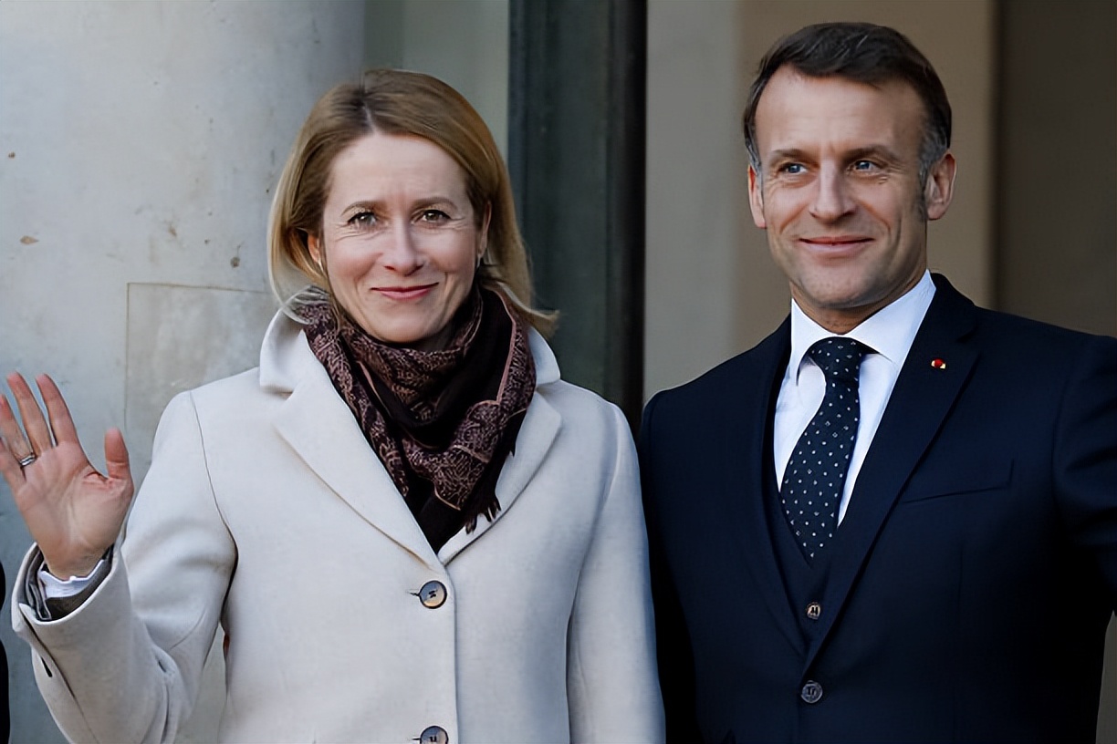 _长丰县公共资源交易中心网站_一个老板三家公司