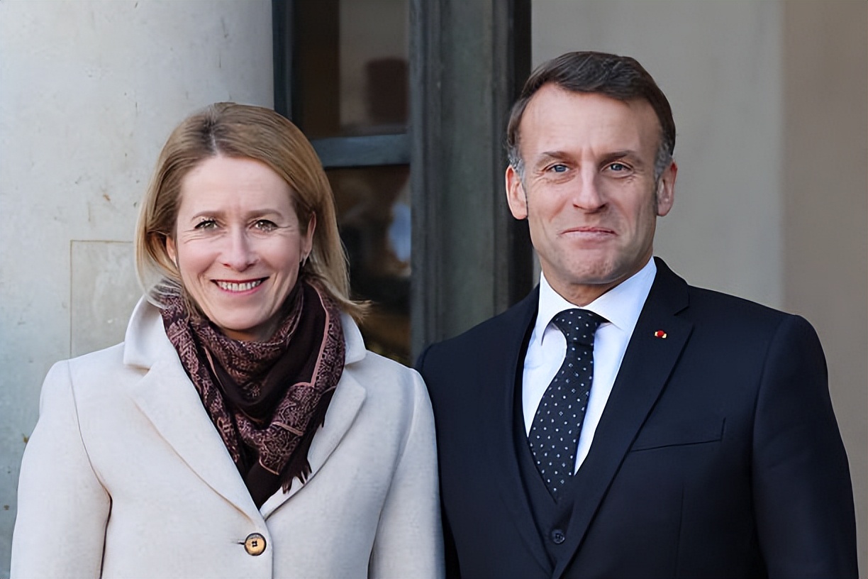 _长丰县公共资源交易中心网站_一个老板三家公司