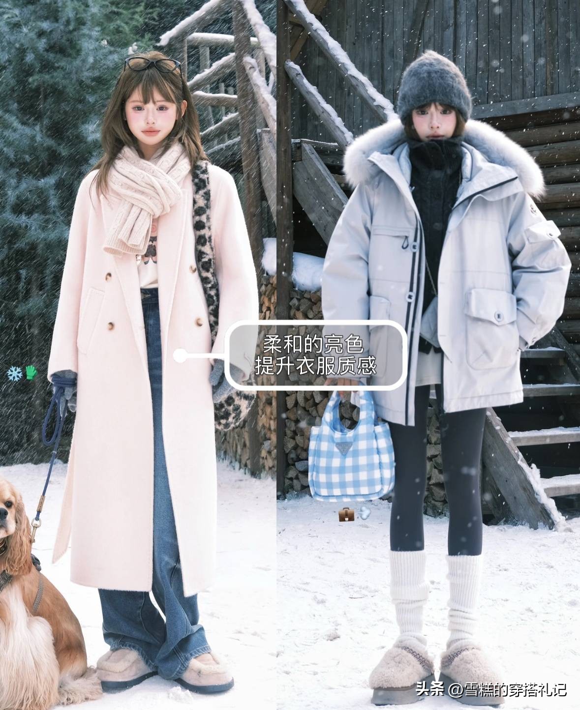 龟壳龟板的价格__乌龟壳炖排骨功效