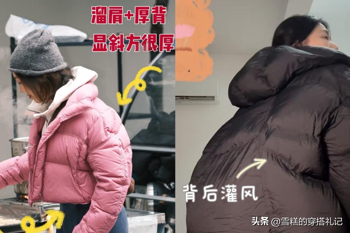 乌龟壳炖排骨功效__龟壳龟板的价格