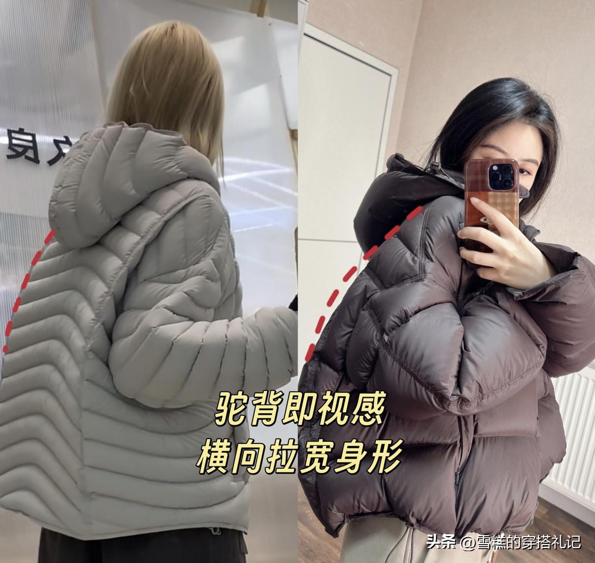 乌龟壳炖排骨功效_龟壳龟板的价格_