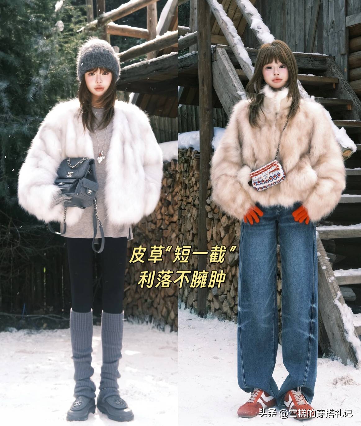 _乌龟壳炖排骨功效_龟壳龟板的价格