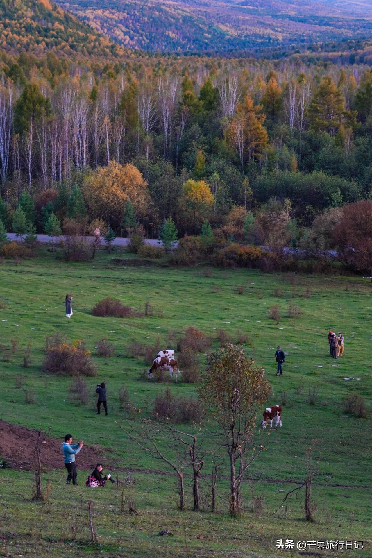 内蒙俄罗斯村在哪里_内蒙和俄罗斯交界小镇_