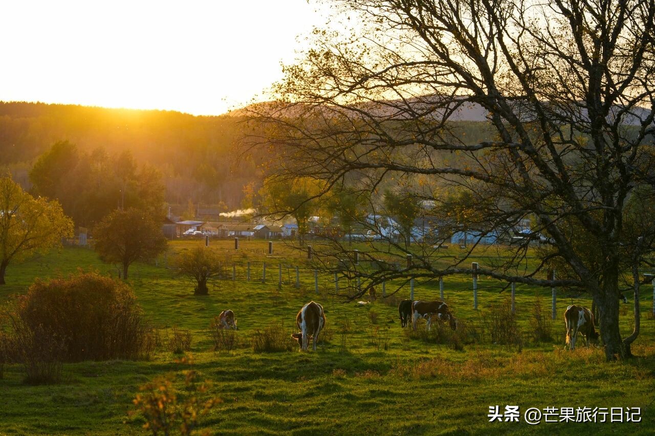 _内蒙和俄罗斯交界小镇_内蒙俄罗斯村在哪里