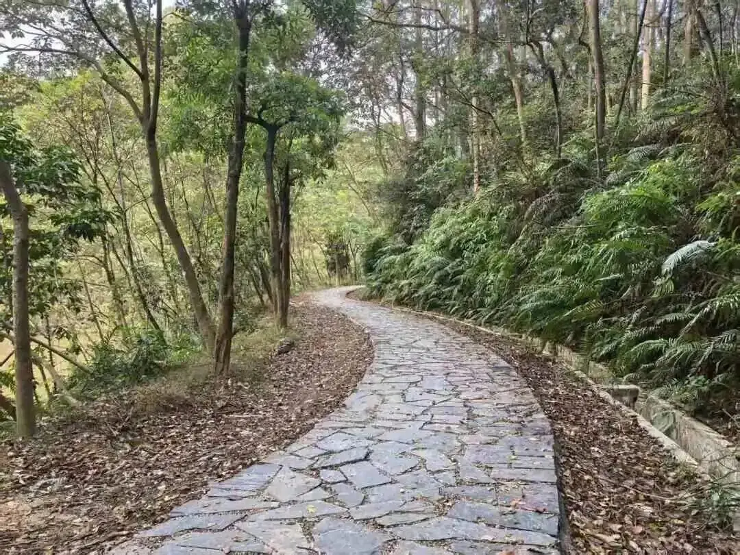 _广州白云区帽峰山地图_广州白云帽峰山有什么好玩