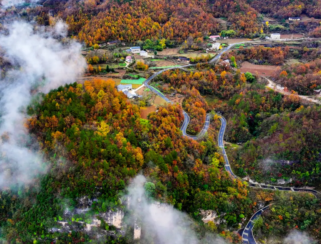 _襄阳市心里治疗中心_襄阳心理治疗中心