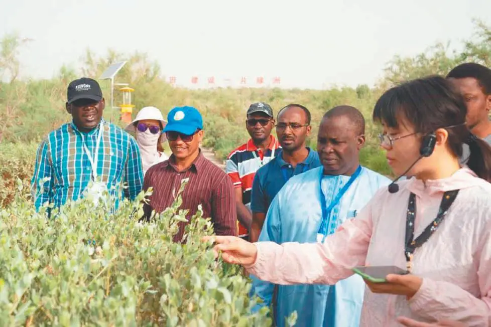非洲国家落后的原因_非西方国家的崛起_