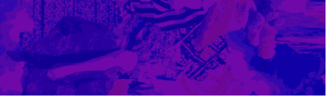 粉丝给艺人当辩护律师，还住一起了，这也行？