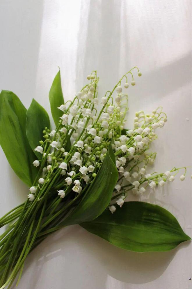 珍珠专场|| 无论18岁还是80岁，总是会为它再一次心动__珍珠专场|| 无论18岁还是80岁，总是会为它再一次心动