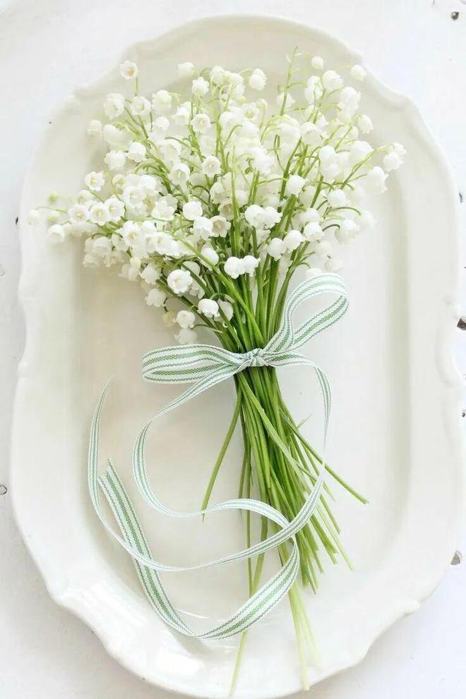 _珍珠专场|| 无论18岁还是80岁，总是会为它再一次心动_珍珠专场|| 无论18岁还是80岁，总是会为它再一次心动