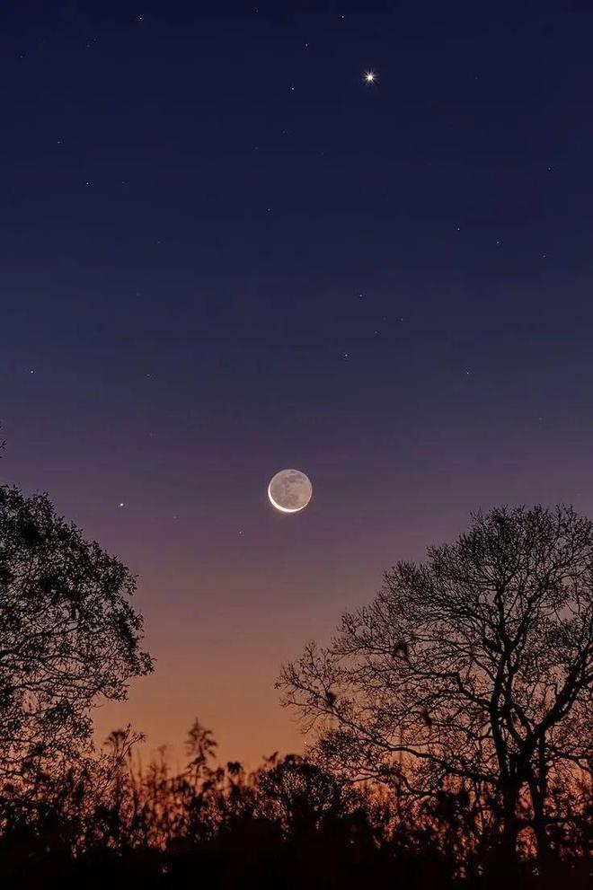 珍珠专场|| 无论18岁还是80岁，总是会为它再一次心动__珍珠专场|| 无论18岁还是80岁，总是会为它再一次心动