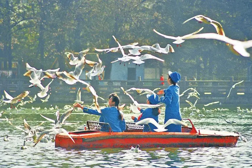 在翠湖里划小船的父子俩 刘建明摄于1978年_在翠湖里划小船的父子俩 刘建明摄于1978年_