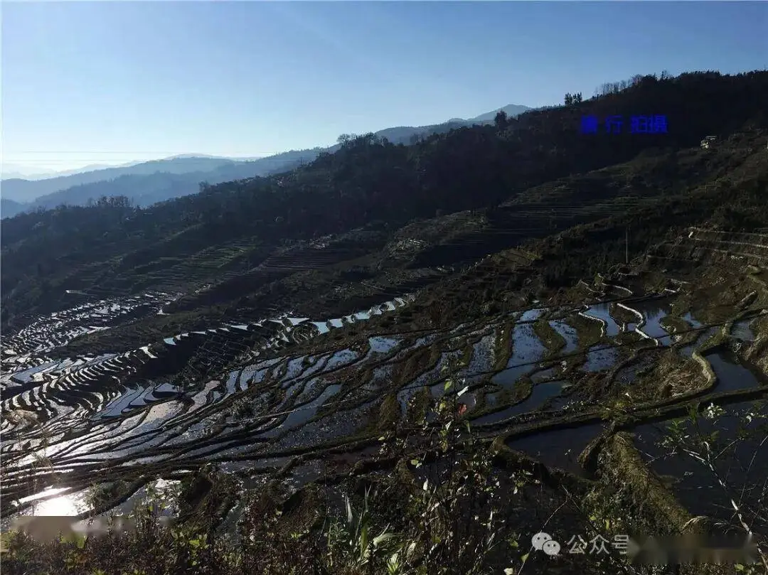 云南红河梯田视频__云南旅游红河梯田