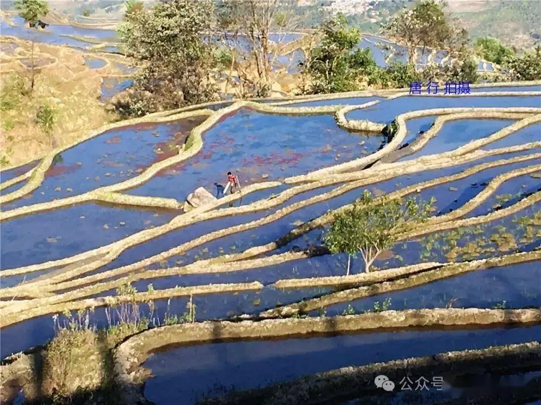 _云南红河梯田视频_云南旅游红河梯田