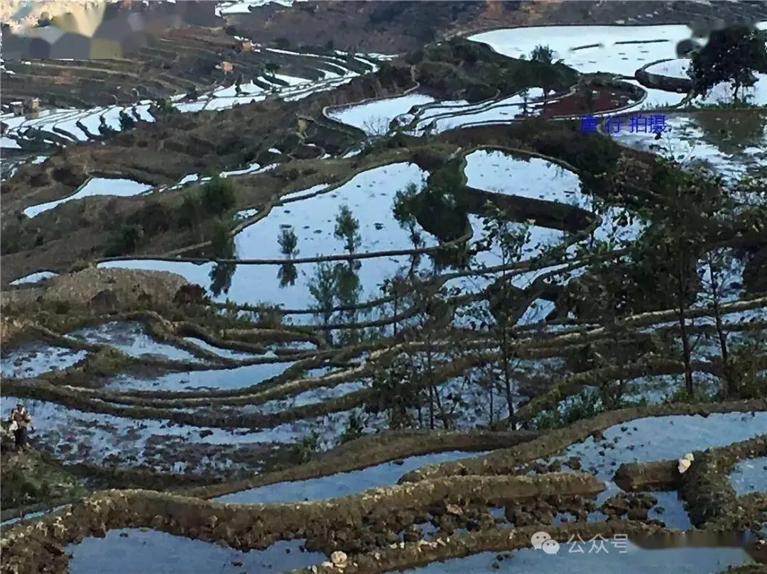 云南红河梯田视频_云南旅游红河梯田_