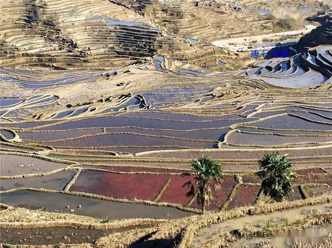 _云南旅游红河梯田_云南红河梯田视频