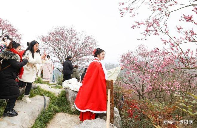 贵州梅园，体验感更好了！