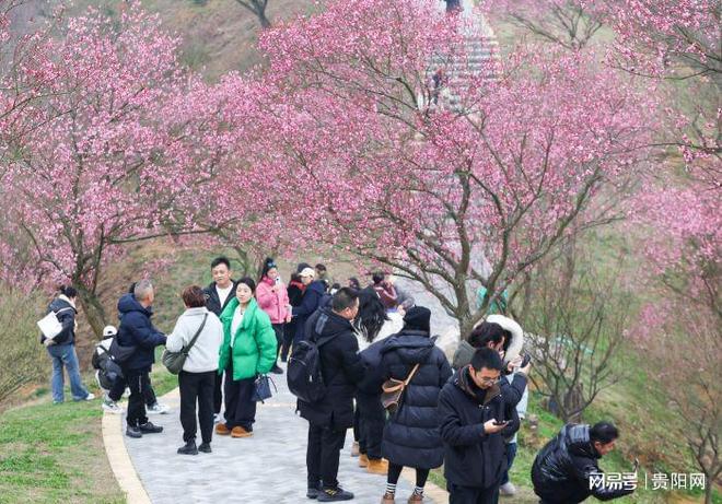 立秀宝体验小镇玩后感__餐厅里如何体验客户的体验感