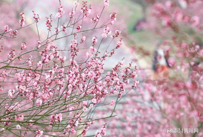 _餐厅里如何体验客户的体验感_立秀宝体验小镇玩后感