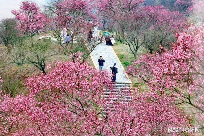 立秀宝体验小镇玩后感__餐厅里如何体验客户的体验感