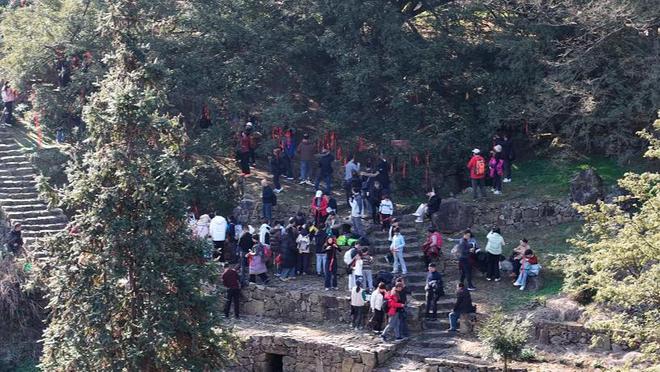 黄山市樵山村:“天然氧仓”行,收获山野香