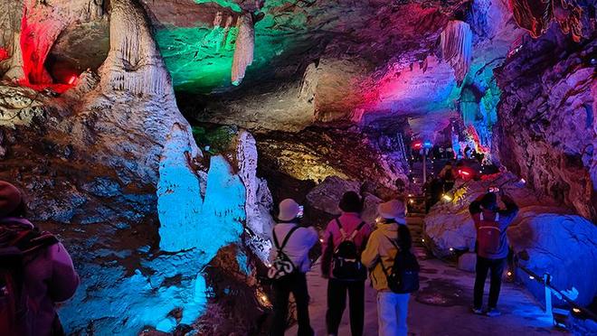 黄山野菜图片_黄山野茶品种价格图片_