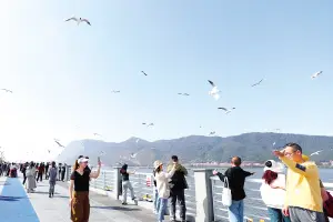 _开门红旅游口号大全_文旅商业的全年营销方案