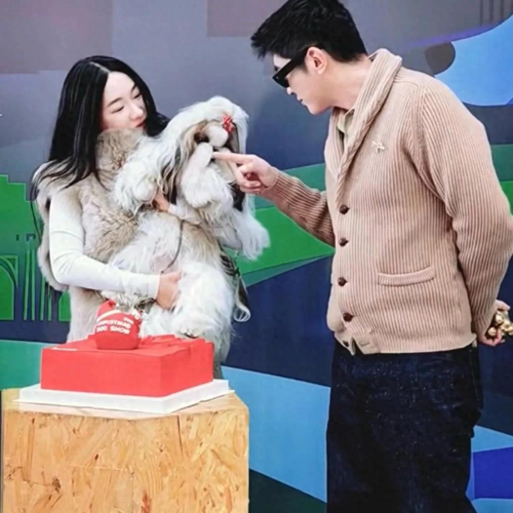 偶遇杜江夫妇参加犬展，霍思燕穿皮草贵气十足，颜值在线又瘦又美