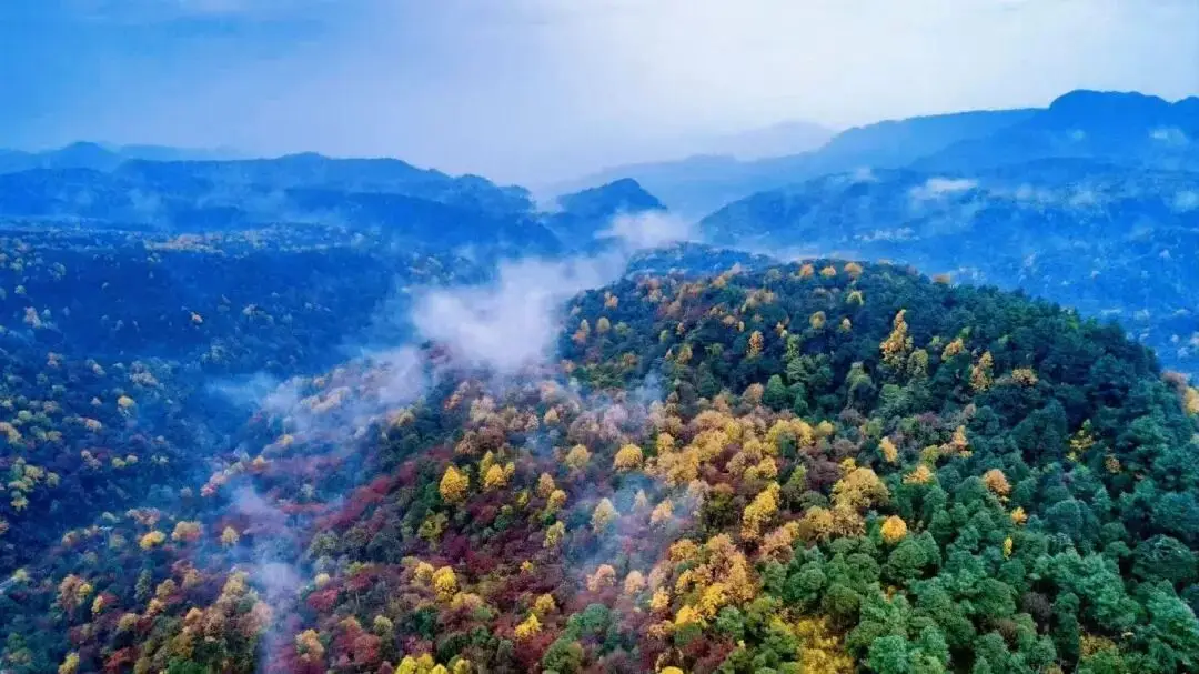 三根led灯条连接线路图_烟火信仰连接条g352是什么_