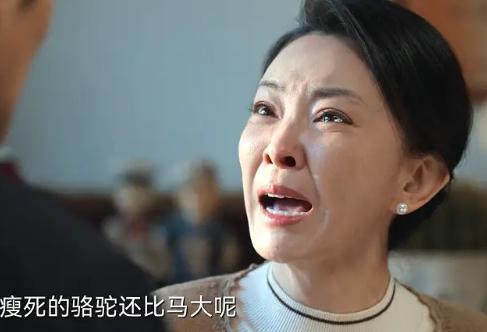 赵丽颖最大的戏__赵丽颖的城市