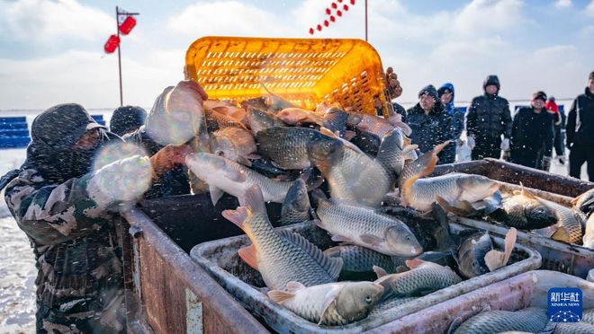 _呼和浩特冰雪乐园项目_呼和浩特冰雪运动