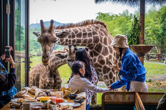 湖州亲子旅游_湖州亲子度假酒店_
