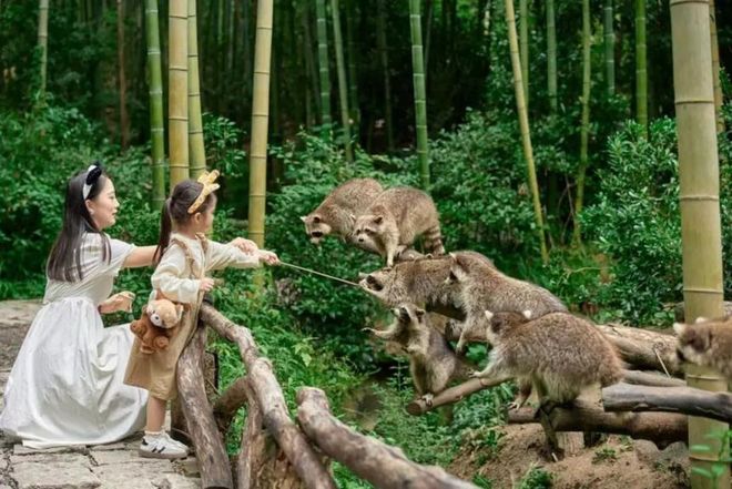 湖州亲子旅游_湖州亲子度假酒店_