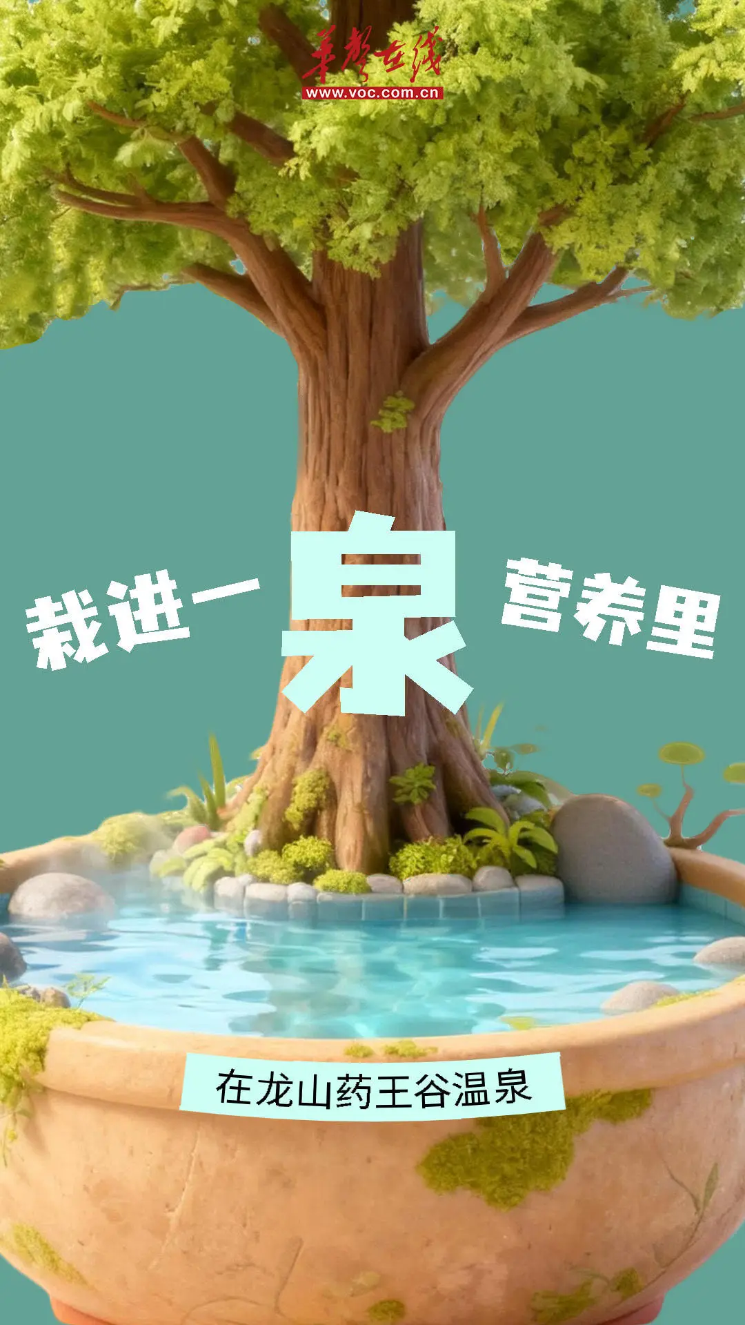 腹直肌康复多久做一次__如何修改微信群名称备注