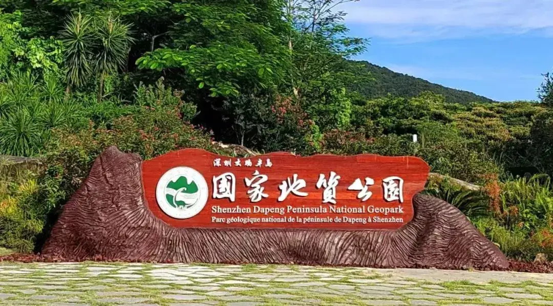 _如果道路封闭闯红灯算违章吗_非法闯入封闭区域