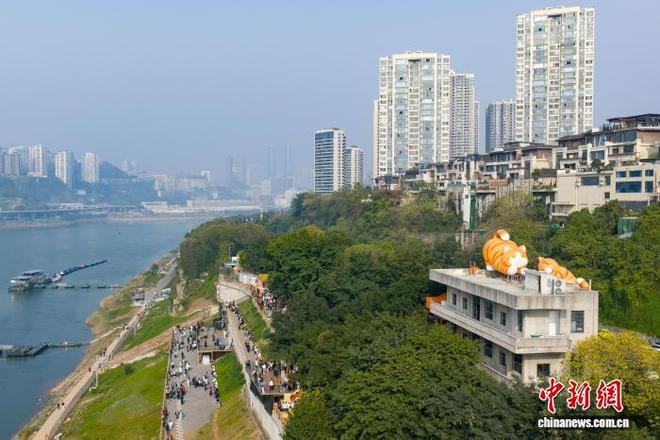 为流浪猫筑“港湾” 重庆一猫猫主题乐园走红_为流浪猫筑“港湾” 重庆一猫猫主题乐园走红_