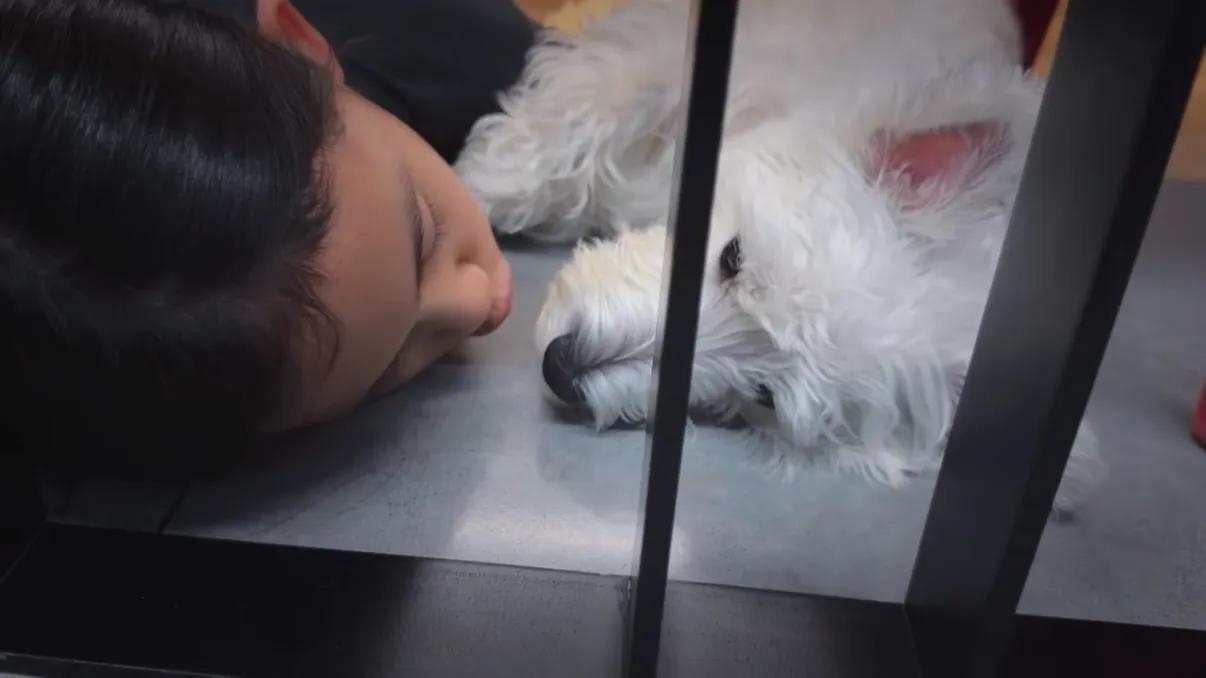 大s女儿漂亮还是小s女人漂亮_大s晒女儿吃奶嘴萌照_