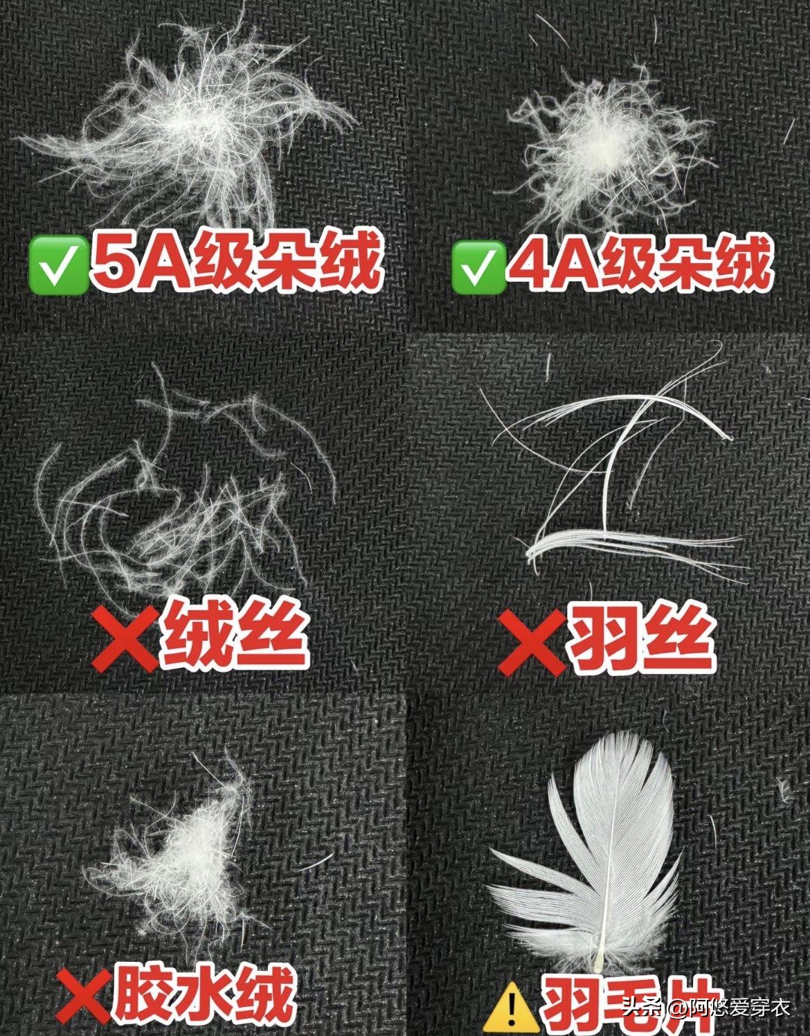 羽绒服最火_爆款羽绒服_