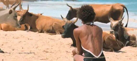 虚伪的电影台词__虚构叙事电影