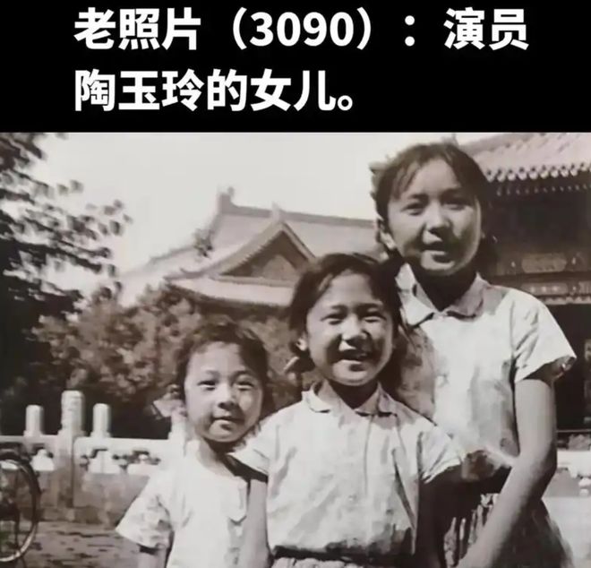 丧夫的明星__丧夫by