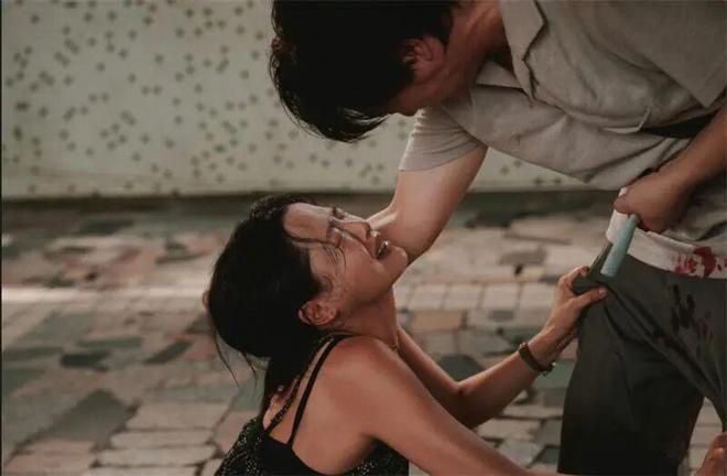 _真情满天下第2部_播放真情电影