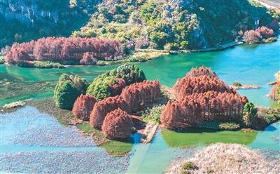 _乡村留住人_让乡村留住乡愁