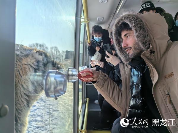 跨越亚欧的冰雪对话：在哈尔滨遇见自然之美与冰雪温情