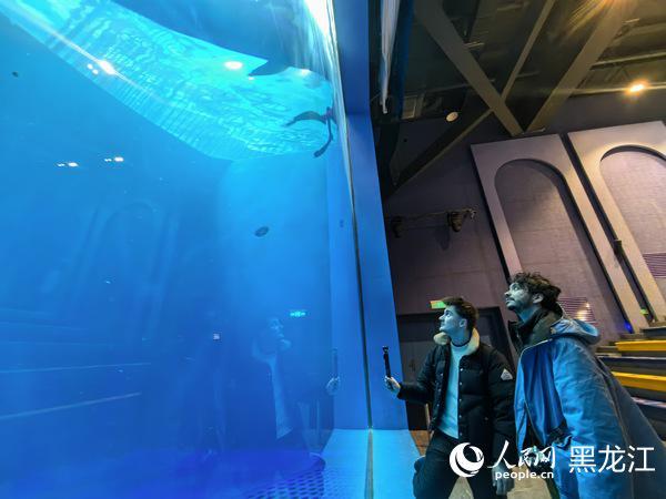 跨越亚欧的冰雪对话：在哈尔滨遇见自然之美与冰雪温情__跨越亚欧的冰雪对话：在哈尔滨遇见自然之美与冰雪温情