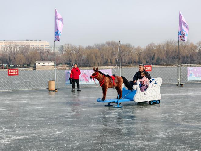 _莲花池公园冰场图片_北京公园年票玉渊潭办理时间