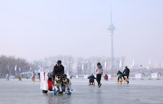 _莲花池公园冰场图片_北京公园年票玉渊潭办理时间